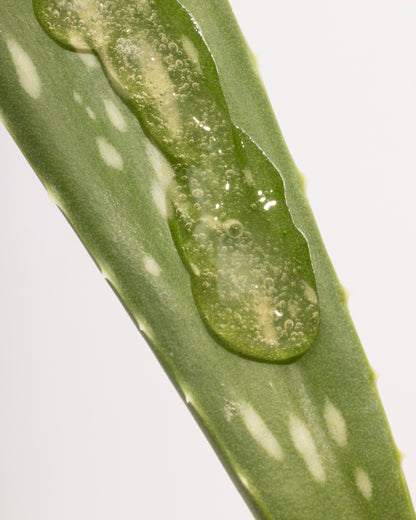 JJ ROOTED Curl Defining Gel